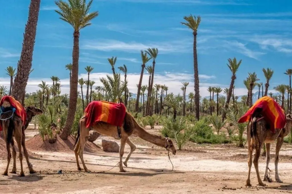 Premier Glamour - Marrakech مراكش
